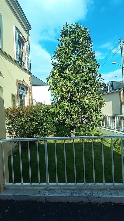 Chartes Bus 1 Direction Barjouville - Pluviers  #france #bustour #bus #frenchcity  (34)