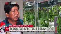 Seis empresas bananeras cerraron a consecuencia de los bloqueos en la ruta Santa Cruz-Cochabamba