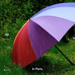 World Facts About France's Oldest Umbrella Shop
