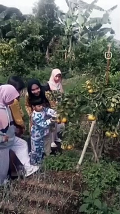 VID_45310730_055927_432