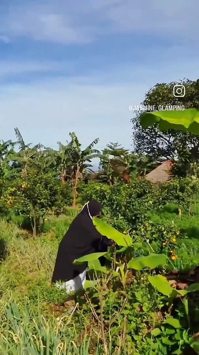 VID_45290515_015237_967