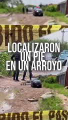 Bolsas con restos humanos fueron localizadas sobre una brecha cercana a un arroyo, en la colonia Lomas del Aeropuerto   #TuNotiReel