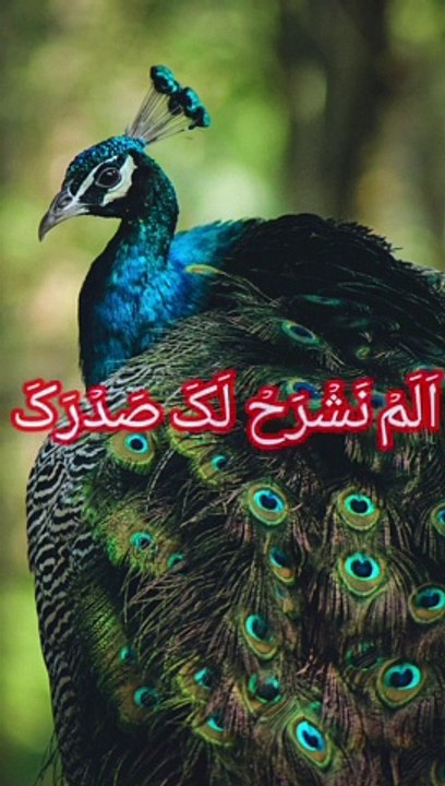 Surah Shurah