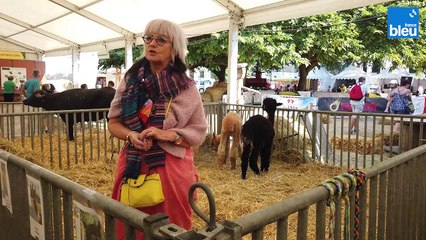 2/6 : la Foire 2023 - Clos des Lamas à Gumbrechsthoffen