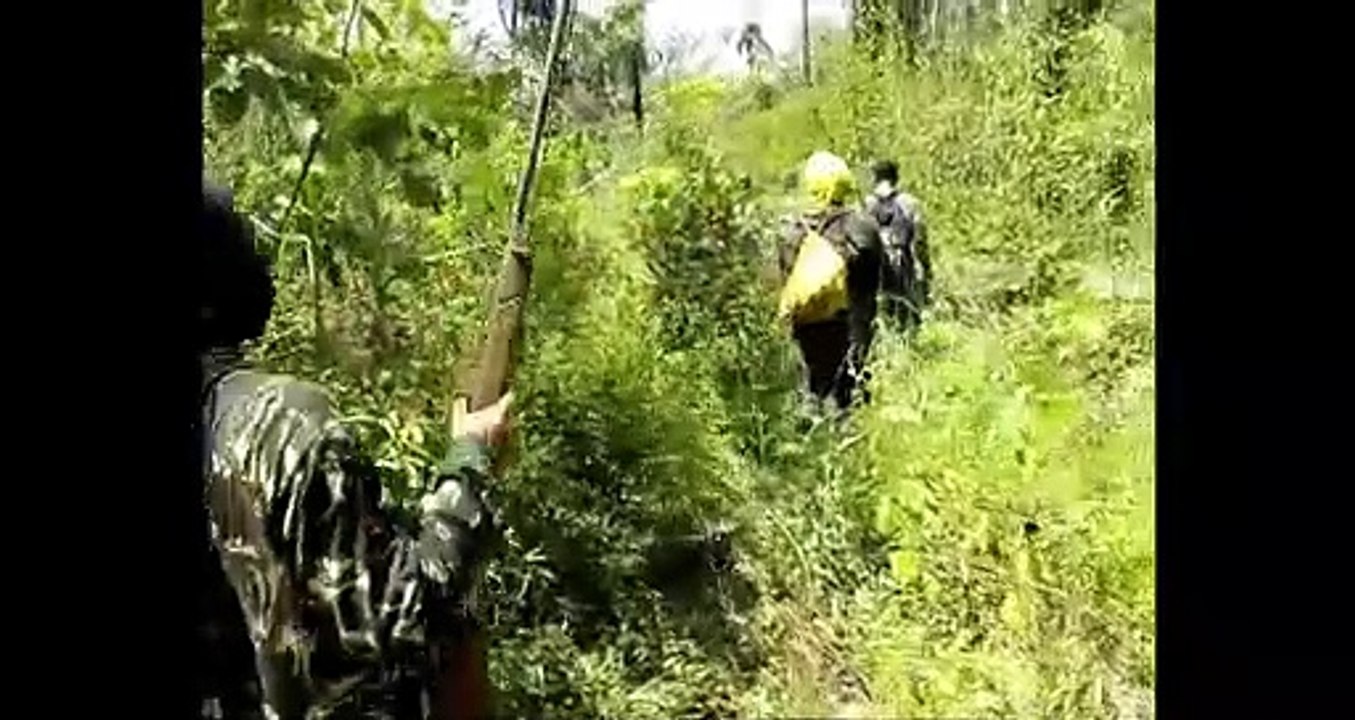 This is our Everything Trailer OmeU