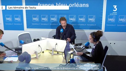 FBO Témoins de l'actu : 20/09