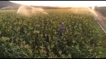 Acea, Palermo: per gestire al meglio l'acqua serve rete integrata
