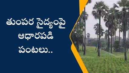 నాగర్ కర్నూల్: వర్షాలు లేక తుంపర సైద్యంపై ఆధారపడ్డ రైతులు..