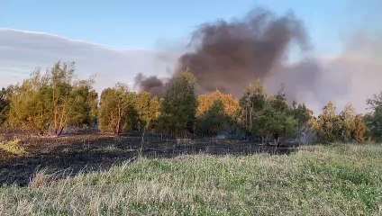 Kanahooka fire | September 20, 2023 | Illawarra Mercury