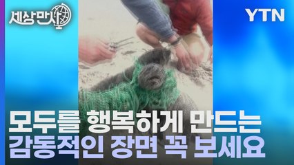 [세상만사] 위험을 무릅쓰고 폐그물에 걸린 새끼 바다표범을 구해주는 장면 / YTN