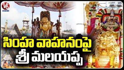 Lord Malayappa Swamy rides On Simha Vahanam In Tirumala _  V6 News
