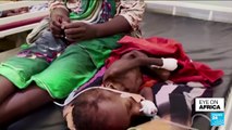 Hundreds of children dying of malnutrition in Sudan refugee camps, says UN