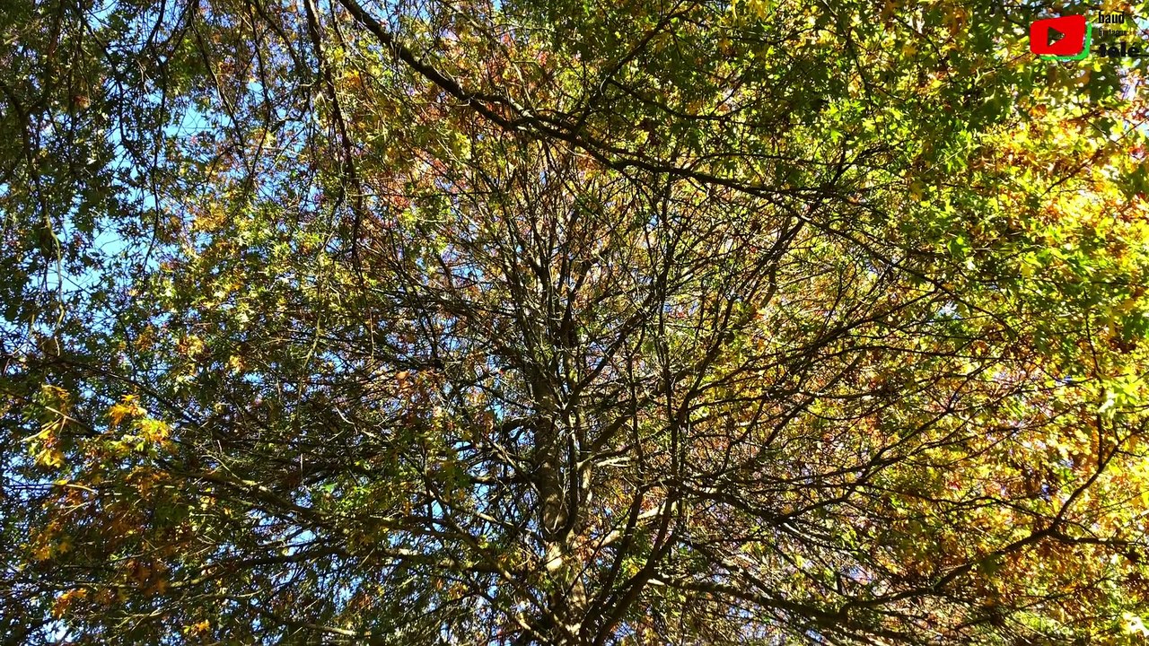 Baud  |  Un si beau Parc  |  Baud Bretagne Télé