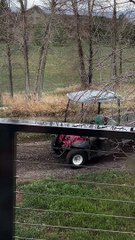 Son Drives Golf Cart Home