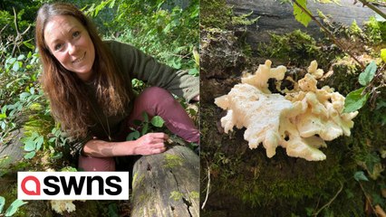 Professional forager has discovered one of Britain's rarest fungus - with healing powers