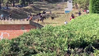 Cogida en los encierros de Nava de la Asunción