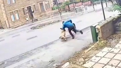 CCTV footage shows dog drag man into road during Sheffield attack