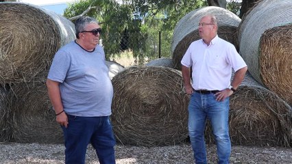 Έντονη η όχληση των κουνουπιών στη Λαμία. Συνεχίζεται η καταπολέμηση