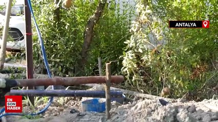 Antalya'da su bulmak için sondaj yapılan bahçedeki kuyudan gaz çıktı