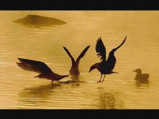 Kenny G.-Waiting for you