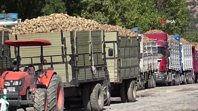 Kastamonu Şeker Fabrikası'nda şeker pancarı alım kampanyası başladı