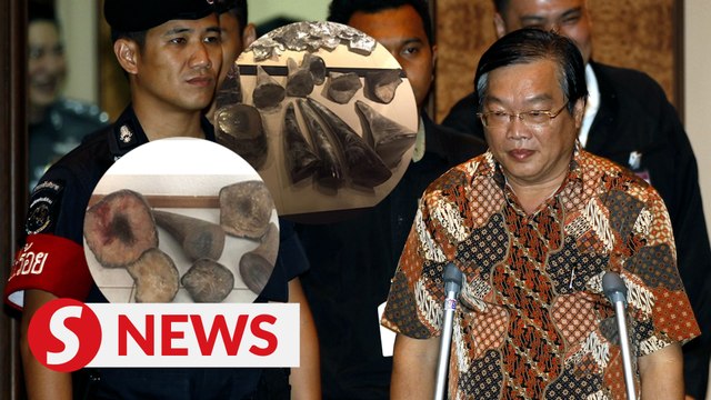 US court sentences Malaysian to 18 months jail for trafficking over 200kg of rhino horns
