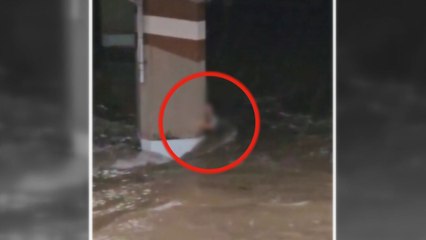 폭우로 불어난 부산 온천천에서 여성 1명 실종 / YTN