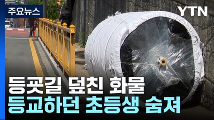 등굣길 덮친 화물...초등생 숨지게 한 공장 대표 실형 / YTN