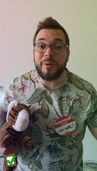 Les pires animaux de compagnie des artistes ! (Art&Facts)