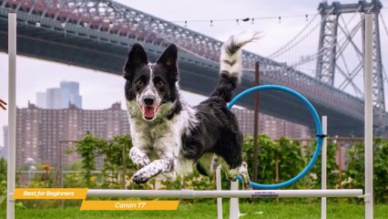 TOP 5_ Best DSLR Camera 2023