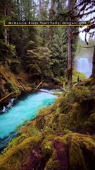 McKenzie River Trail Falls, Oregon, USA