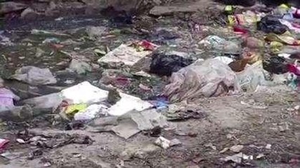 डीडवाना: डेंगू का बढ़ा खतरा, सड़कों पर बिखरी गंदगी, आमजन परेशान