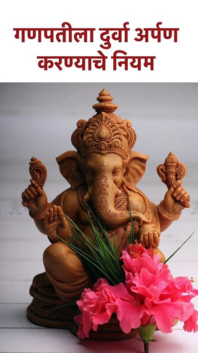 गणपतीला दुर्वा अर्पण करण्याचे नियम | How do we offer Durva to Lord Ganesha? | SG5