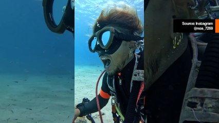 Unglaublich! Zahnarztfisch geht in den Mund eines Tauchers, um eine gründliche Reinigung vorzunehmen