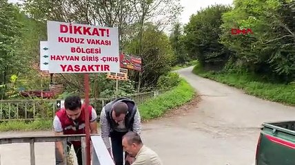 Artvin’de sahibini ısıran köpek kuduz çıktı; 3 köye karantina