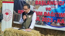 BUZAĞI ÖLÜMLERİNİ ENGELLEMEK İÇİN KARS'TA ÜRETİCİLERE 'AĞIZ SÜTÜ' DAĞITILDI