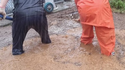 경북 울진 80mm 넘는 집중호우...침수 피해 잇따라 / YTN