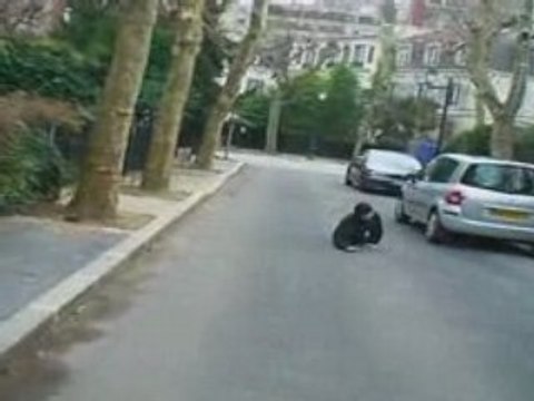 Télé BASAÏLE - Bétisier gamelles