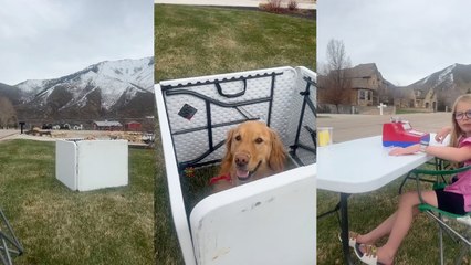 Girl Creates Petting Zoo With HER DOG