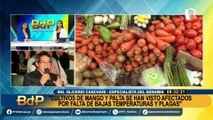 Ingeniero Glicerio Canchari: “Cultivos de mango y palta se han visto afectados por el clima