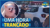 Cãozinho preso em porta-malas de carro é resgatado pela PM - Vídeo