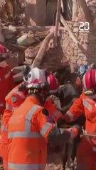 Séisme au Maroc : Un âne est secouru des décombres d’une bâtiment après six jours #shorts