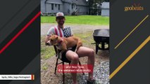 Woman rescues dog. Dog steals her man.