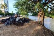 Abandonan decenas de bolsas de basura al costado del Río Pitillal