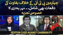 Meher Bokhari opens up on sedition cases against Chairman PTI