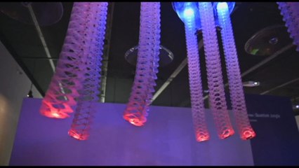 Tentacoli robot e scienza tattile, a Rio l'arte è tech