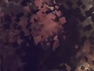 Vartování Kaji Veselého gypsi