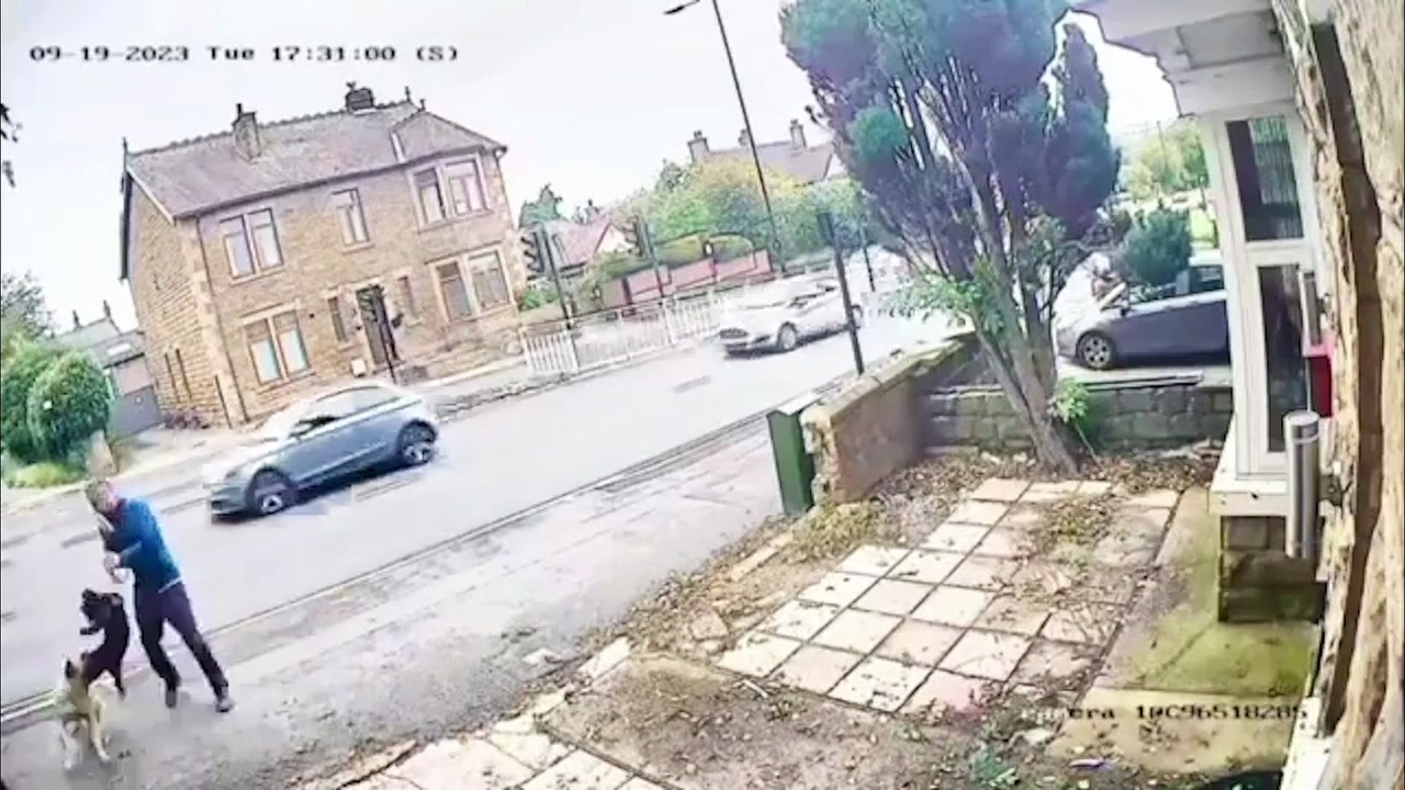 Sheffield dog attack: Footage shows dog walker mauling by bull mastiff, leaving him looking like ‘stab victim’