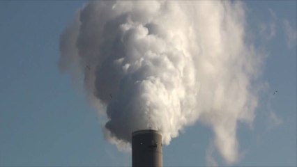 Data Reveals Nearly Everyone in Europe Is Breathing Dangerously Toxic Air