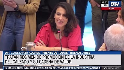 Dictamen al proyecto para crear el Régimen de Promoción de la Industria del Calzado